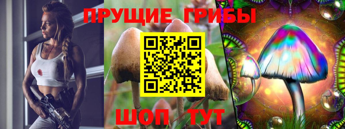 Ржев  Галлюциногенные грибы Psilocybe  Галлюциногенные грибы ЛСД  Вход с VPN 